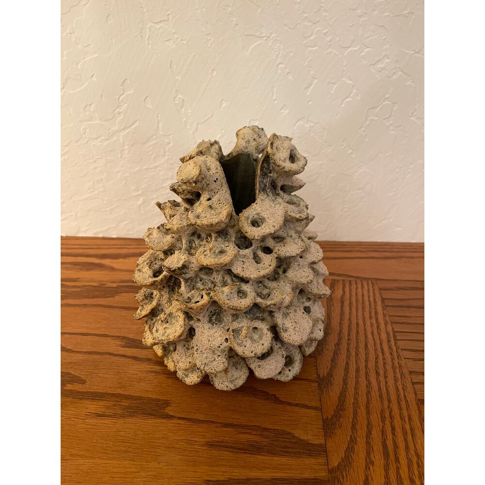 Handcrafted Sandy Barnacle Sculpture vase